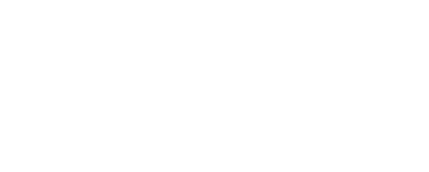 VORA